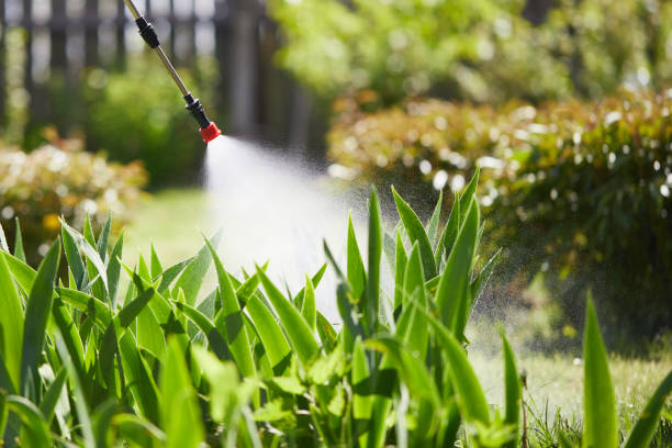 Tamper-Resistant Bait Stations for Rodents in Ethete