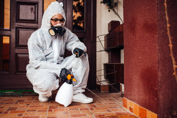 Attic and Crawl Space Rodent Treatment in Ethete