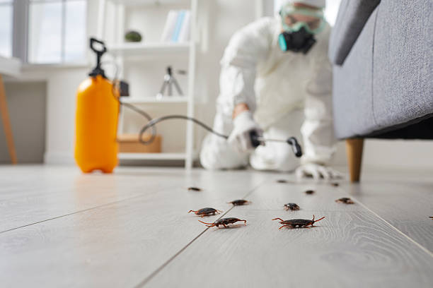 Commercial Rodent Management in Ethete